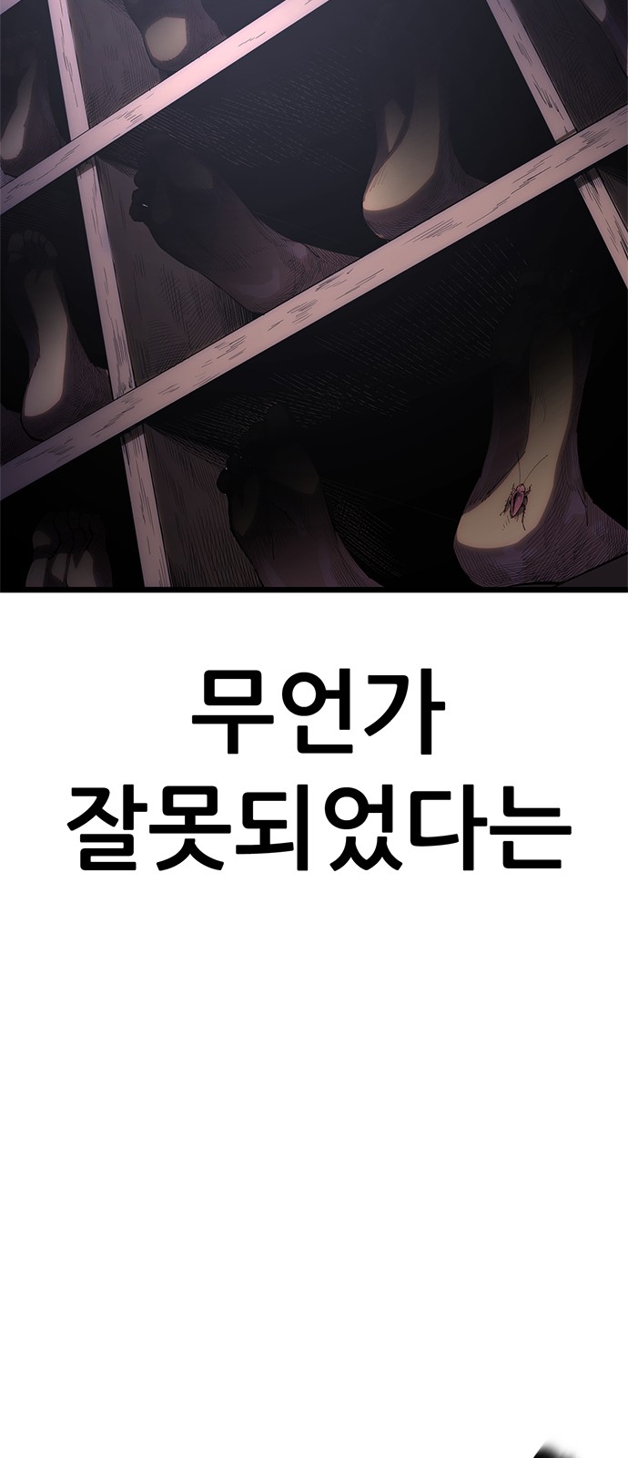 146 페이지