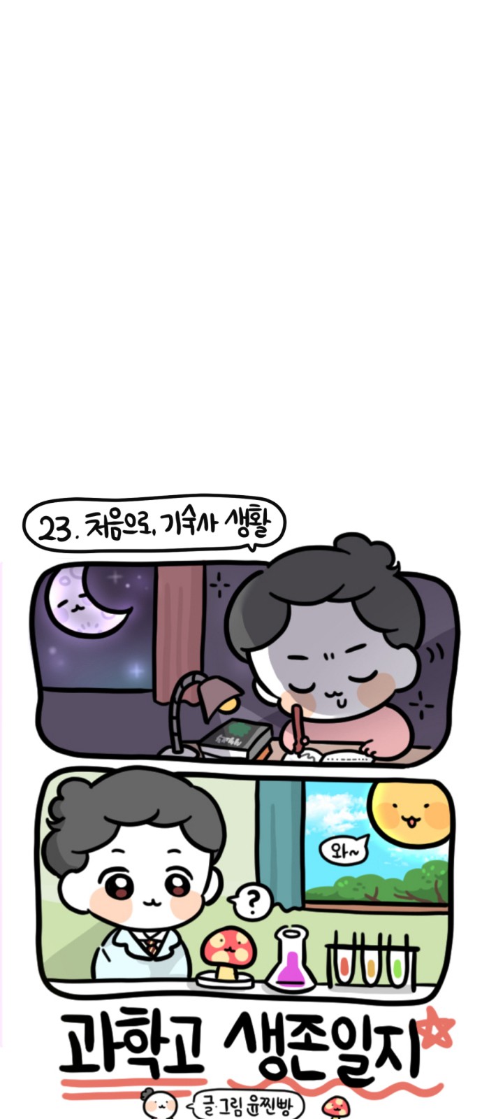15 페이지