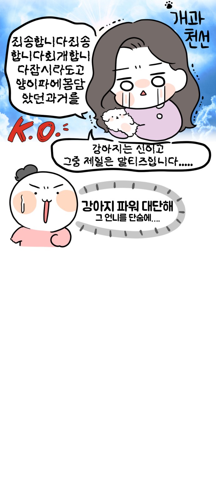 11 페이지