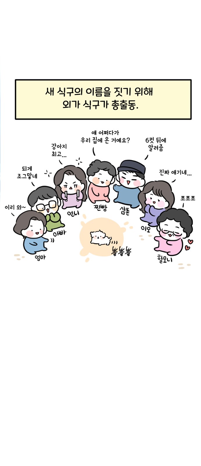 12 페이지