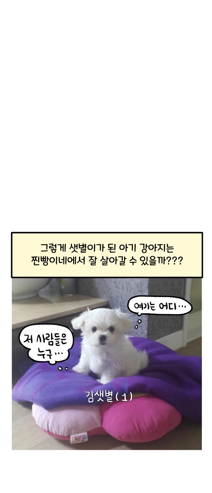 15 페이지