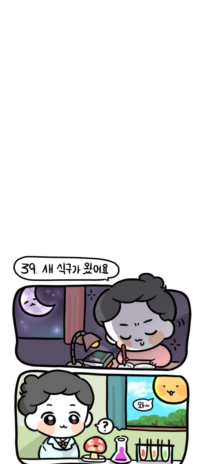 16 페이지