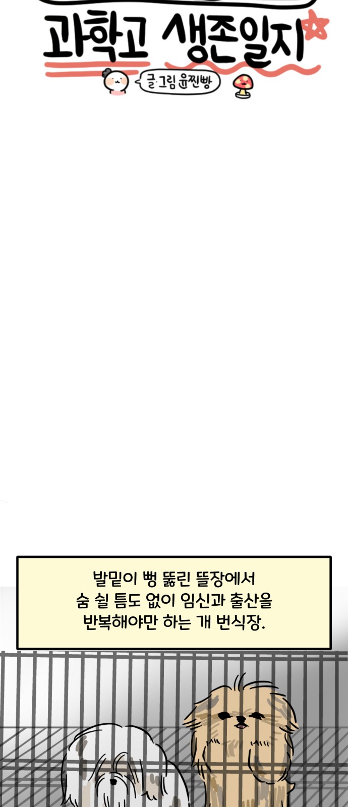 17 페이지