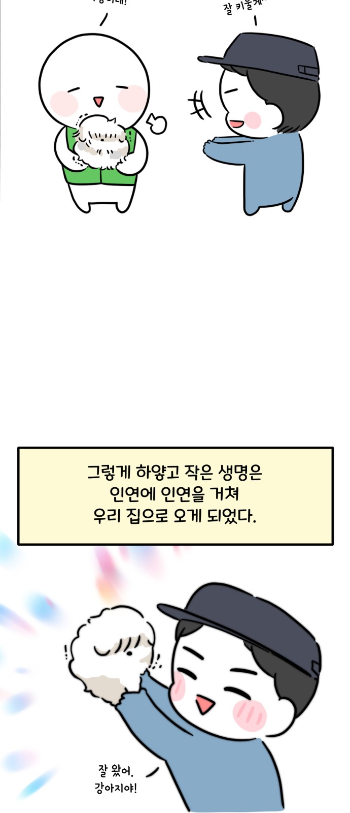 19 페이지
