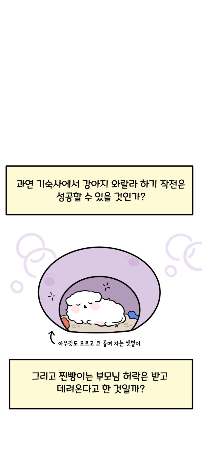 14 페이지