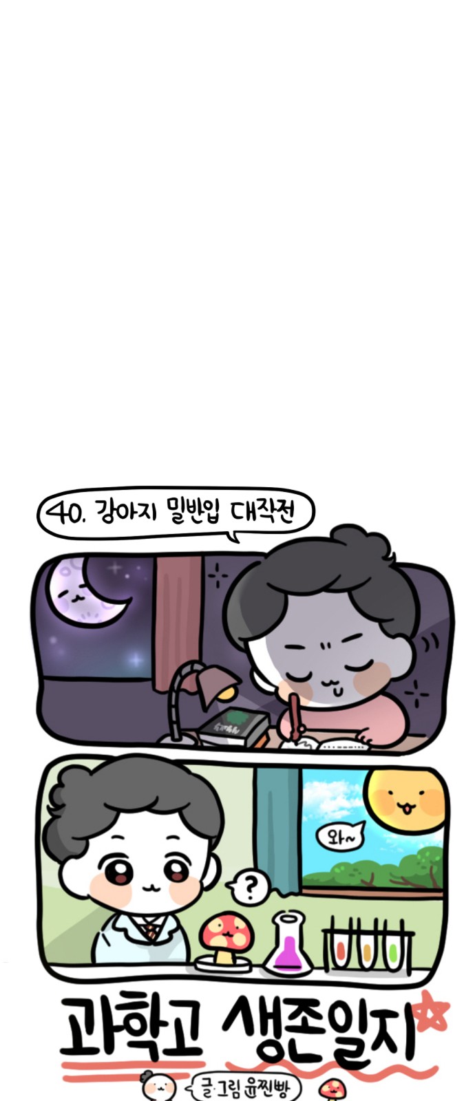 15 페이지