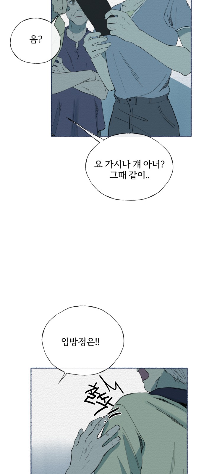41 페이지