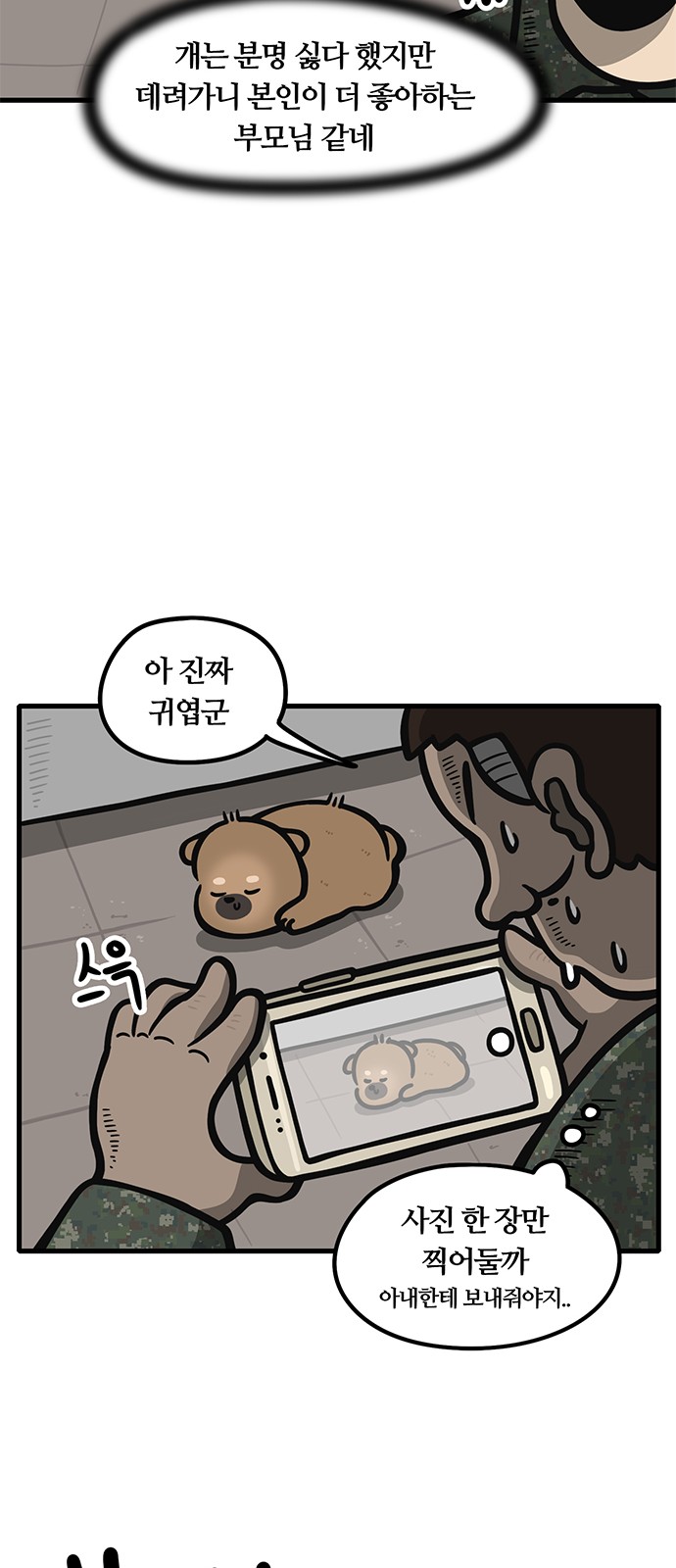 13 페이지