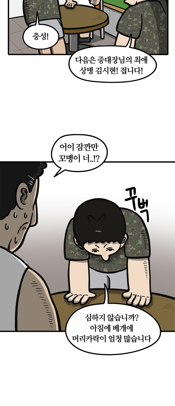 14 페이지