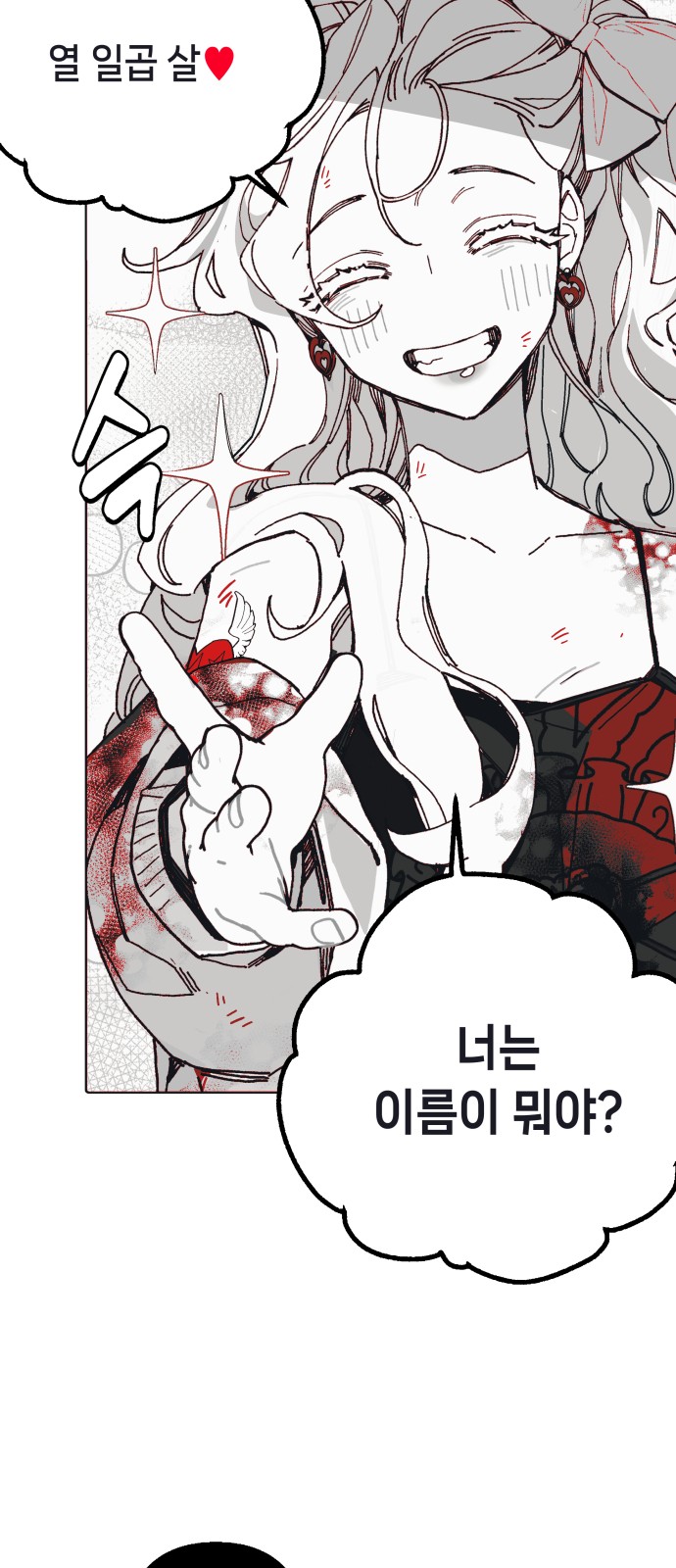 204 페이지