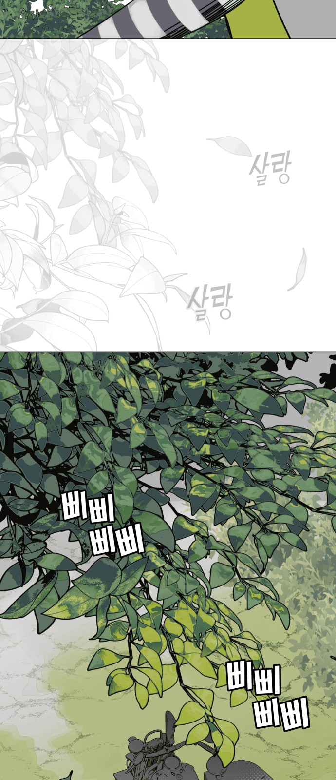 66 페이지
