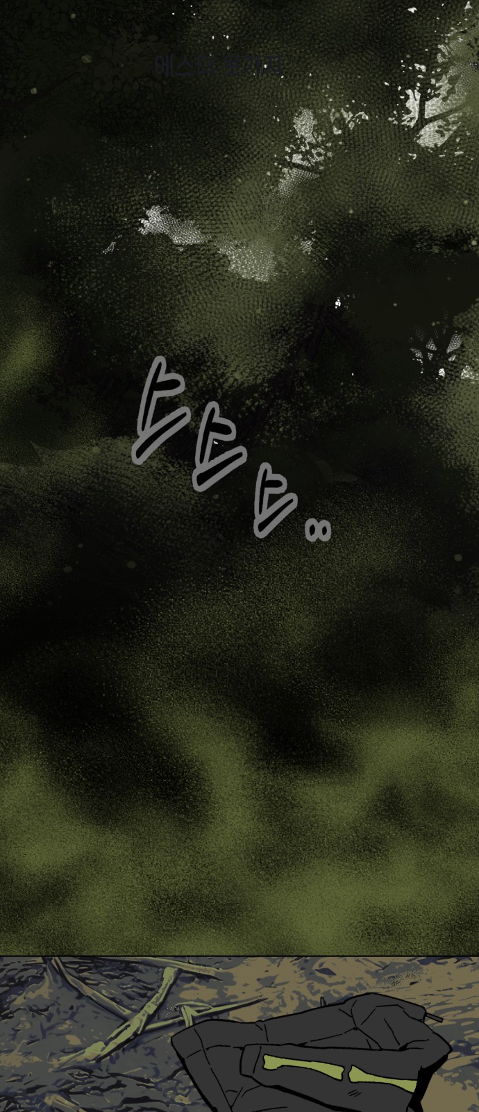 66 페이지