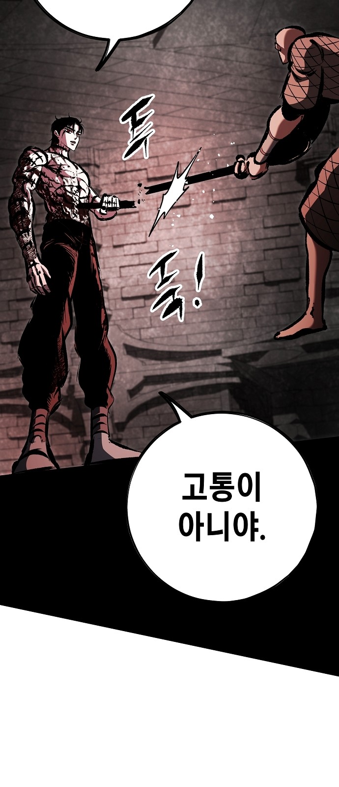 116 페이지