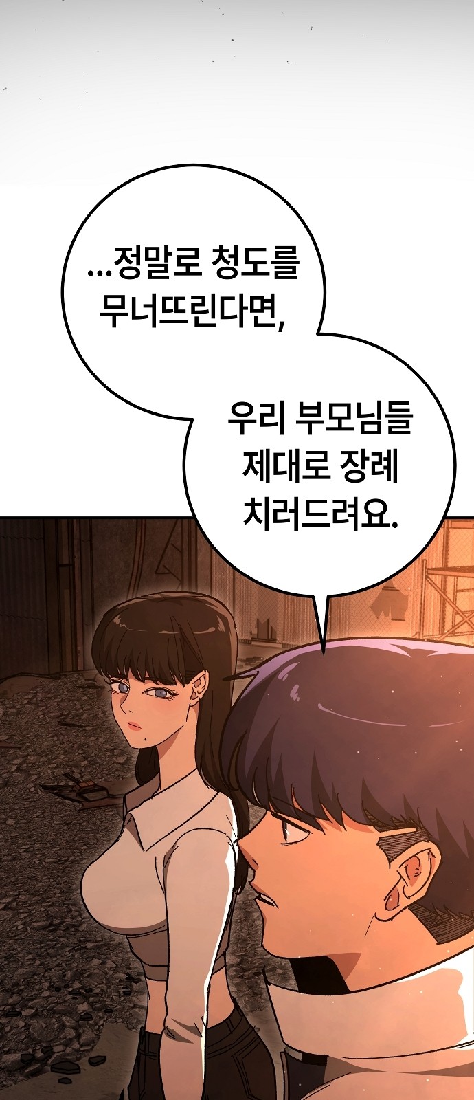 66 페이지
