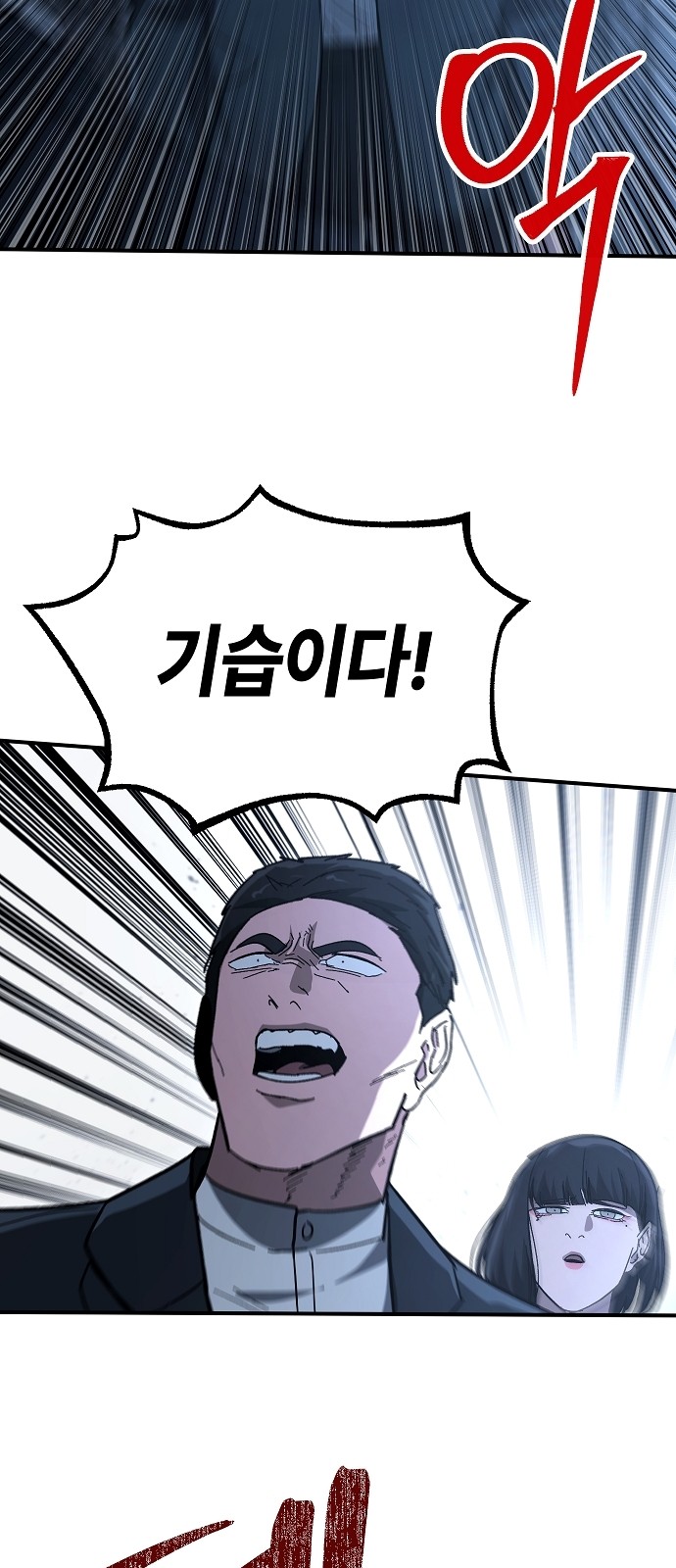 48 페이지