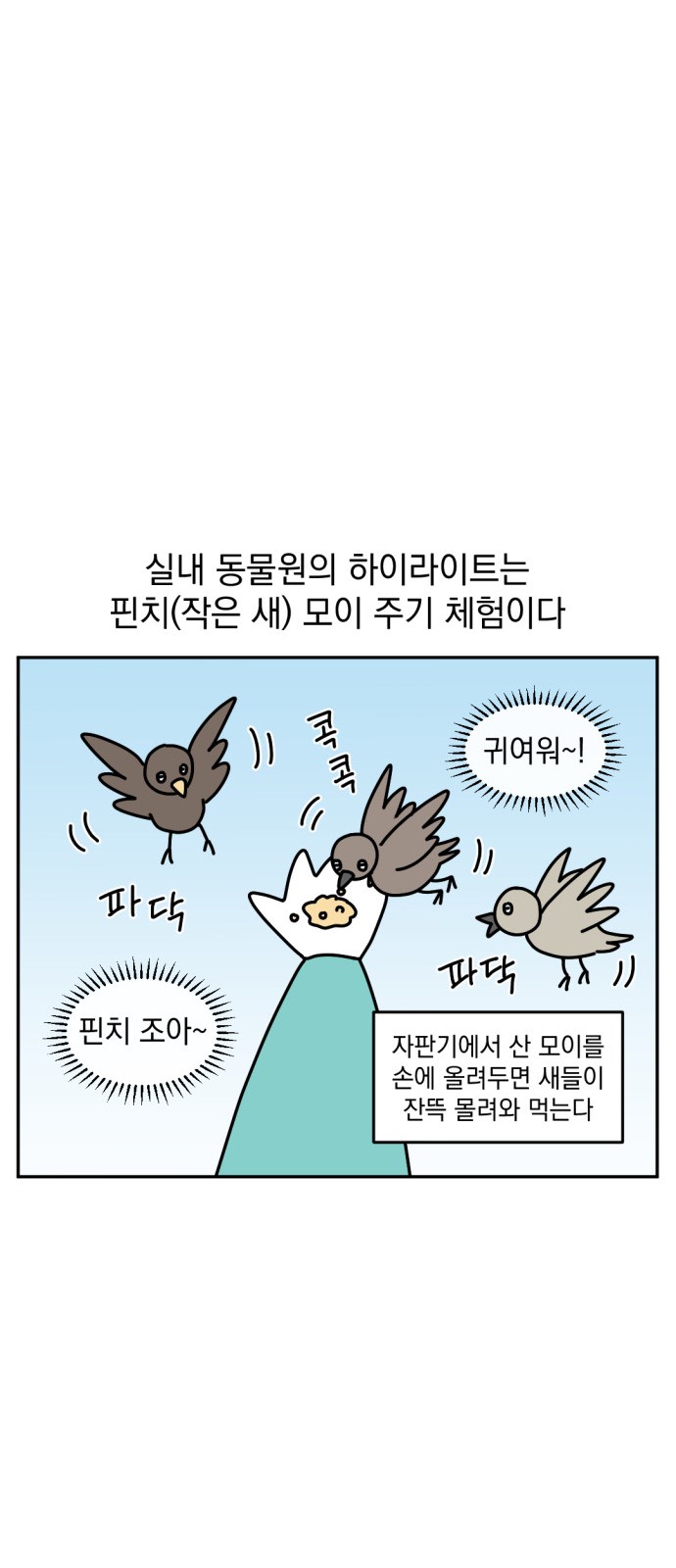 15 페이지
