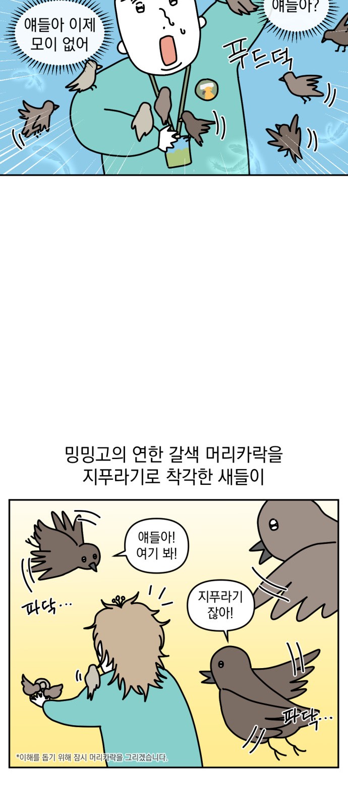 17 페이지