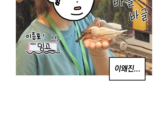 20 페이지