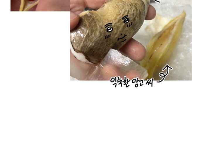 20 페이지
