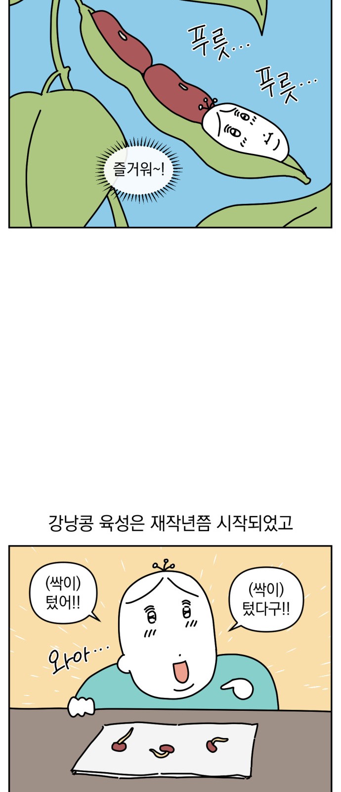 3 페이지