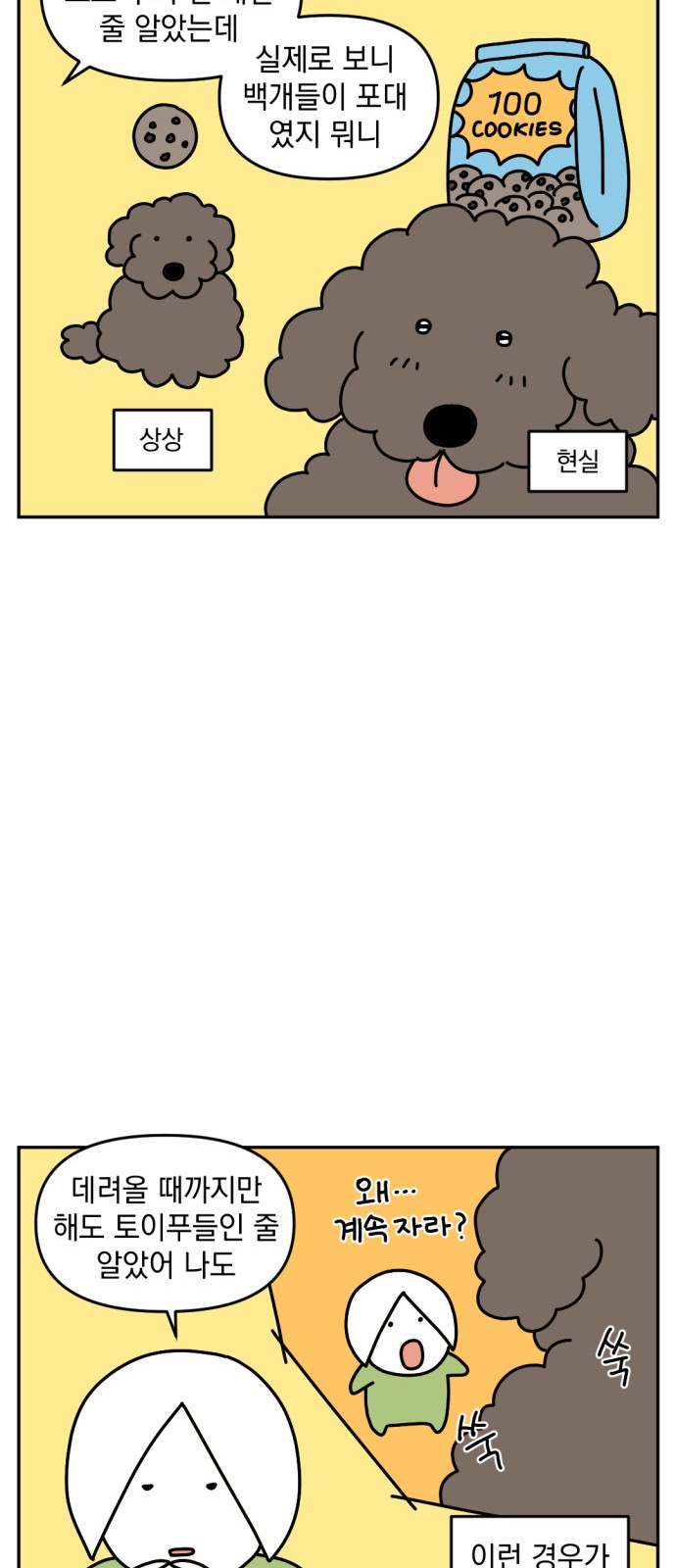 11 페이지