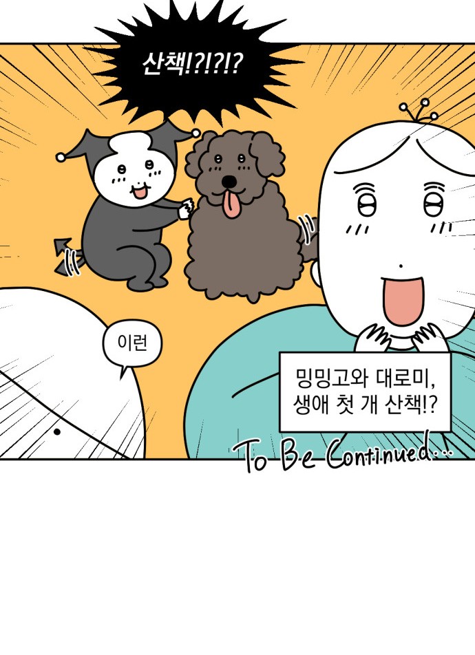 19 페이지