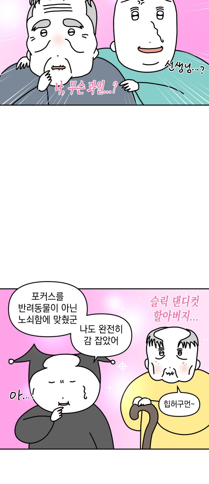 17 페이지