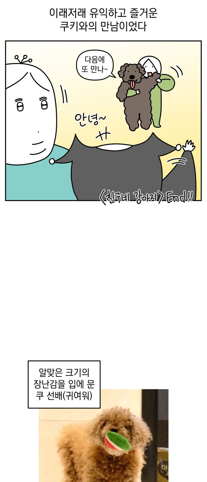 19 페이지