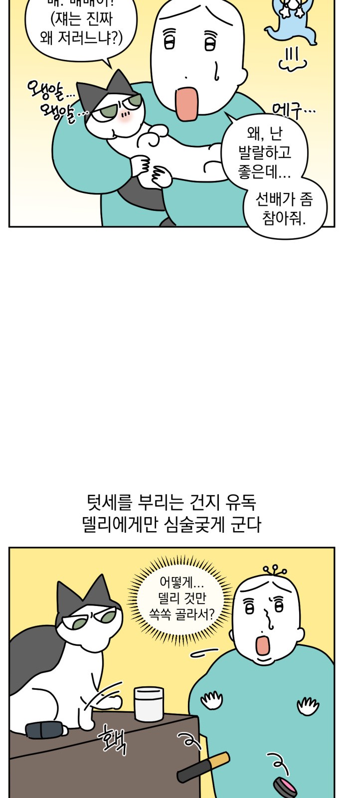 14 페이지