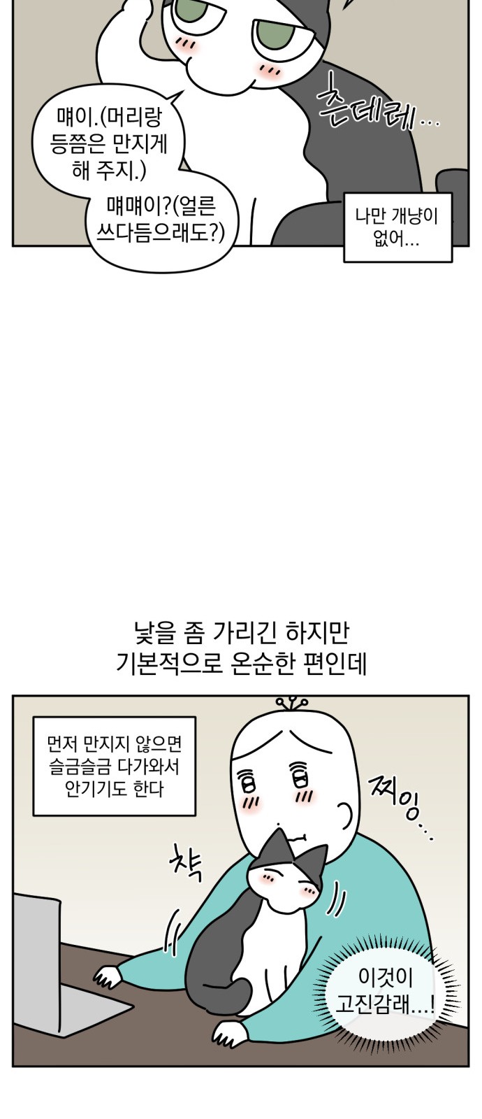 6 페이지