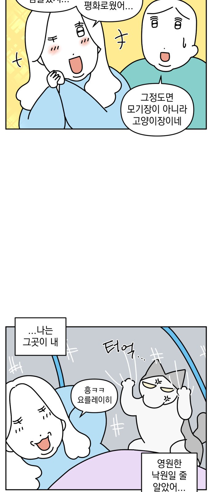 14 페이지