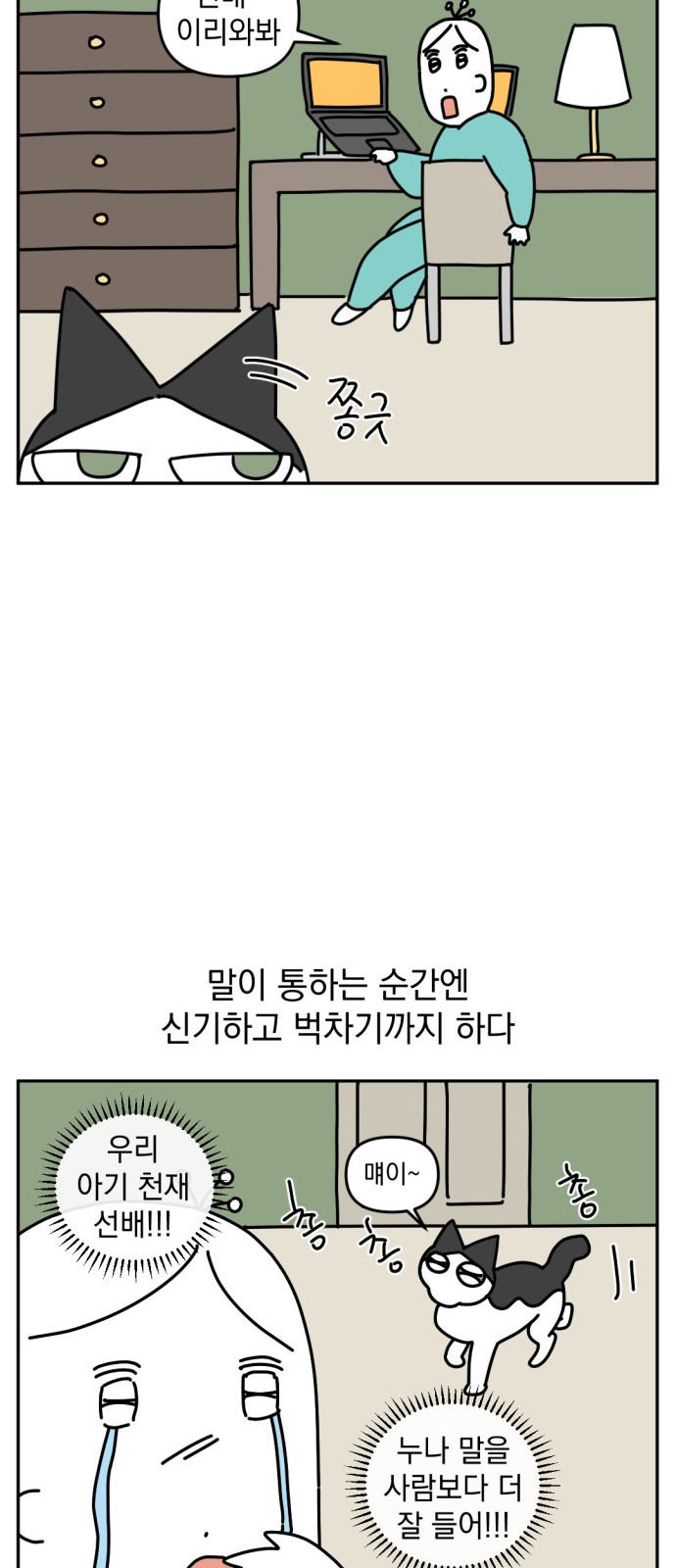 14 페이지