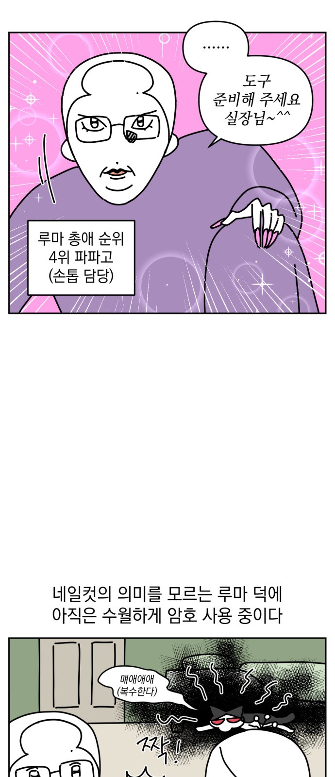 19 페이지