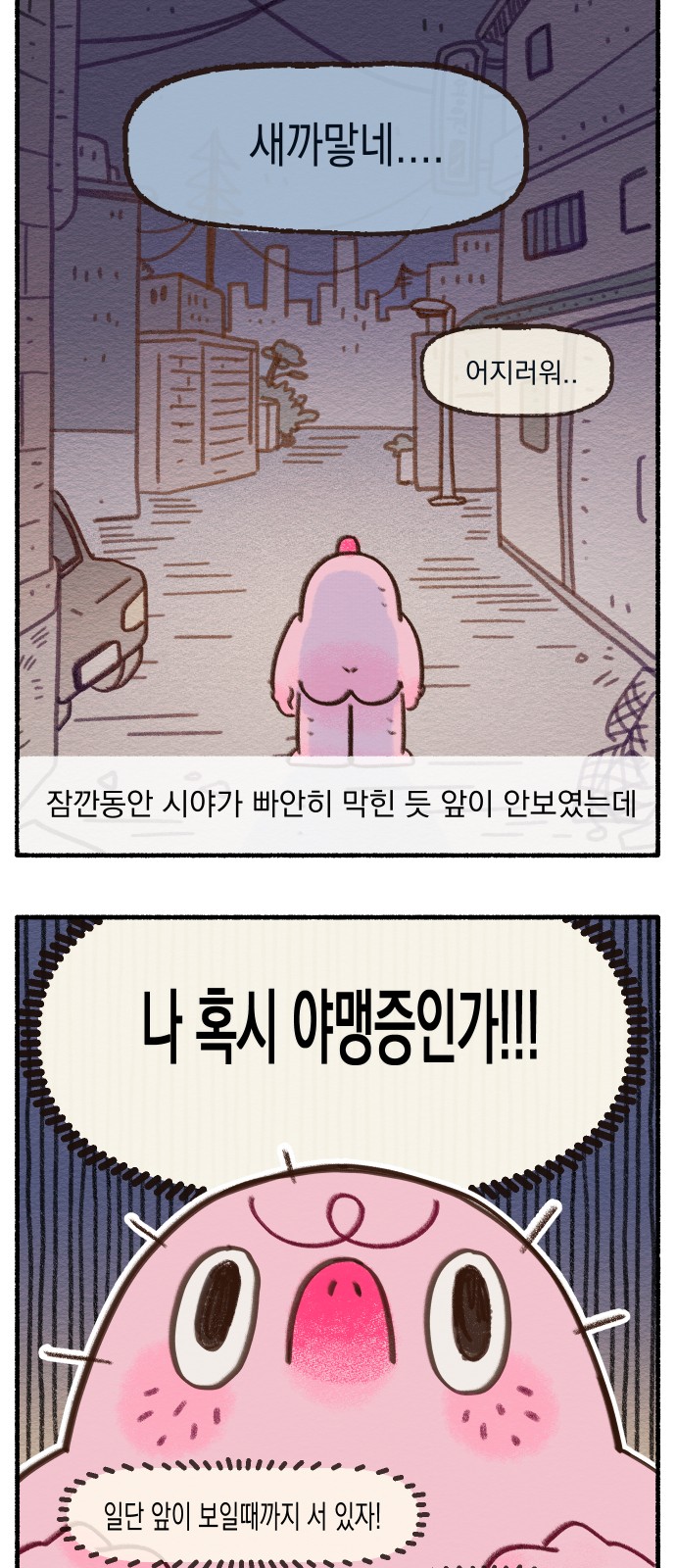 5 페이지