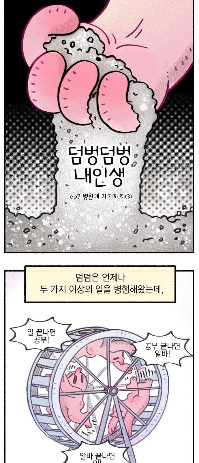 5 페이지