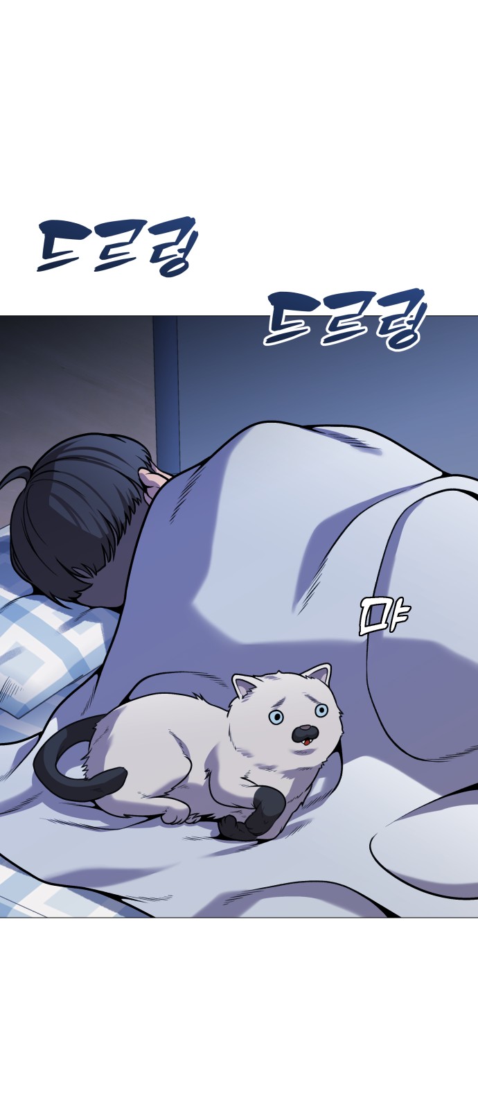 63 페이지