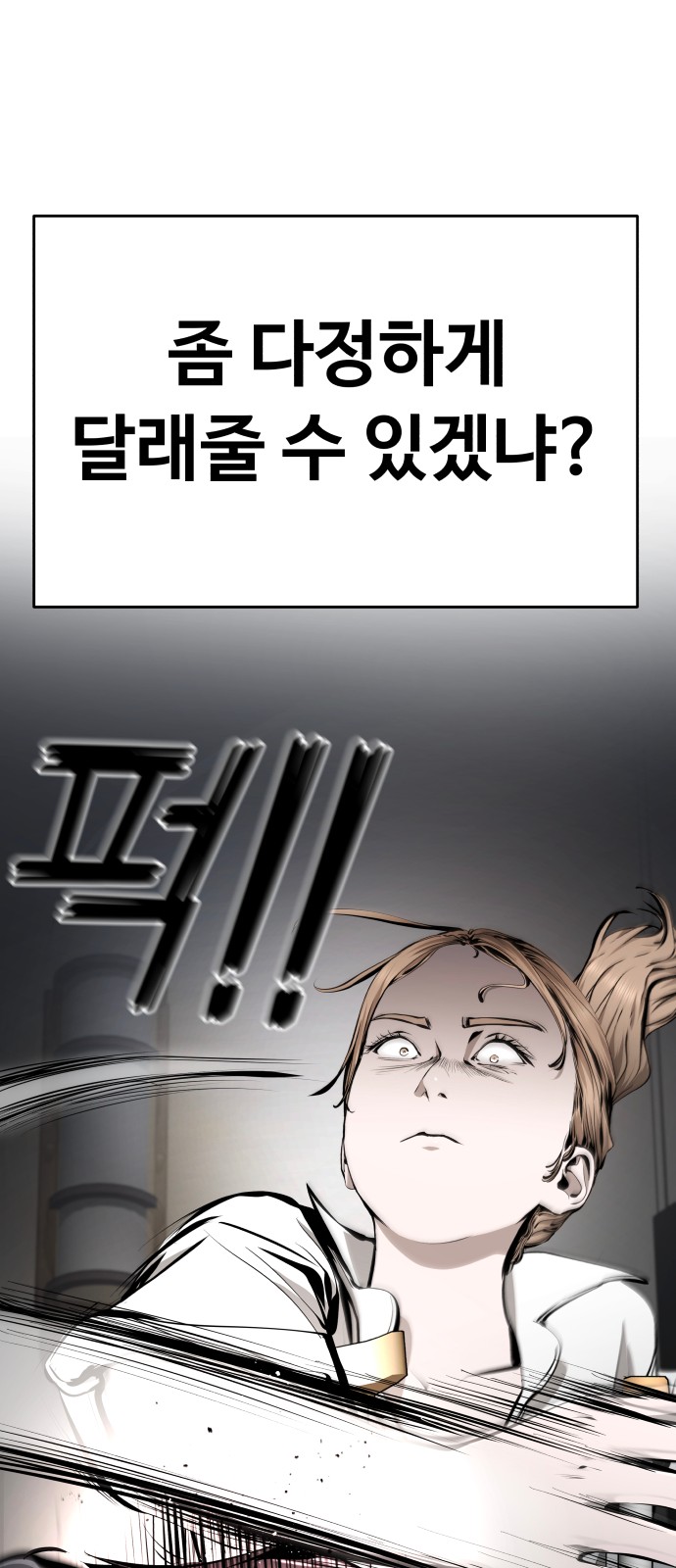133 페이지