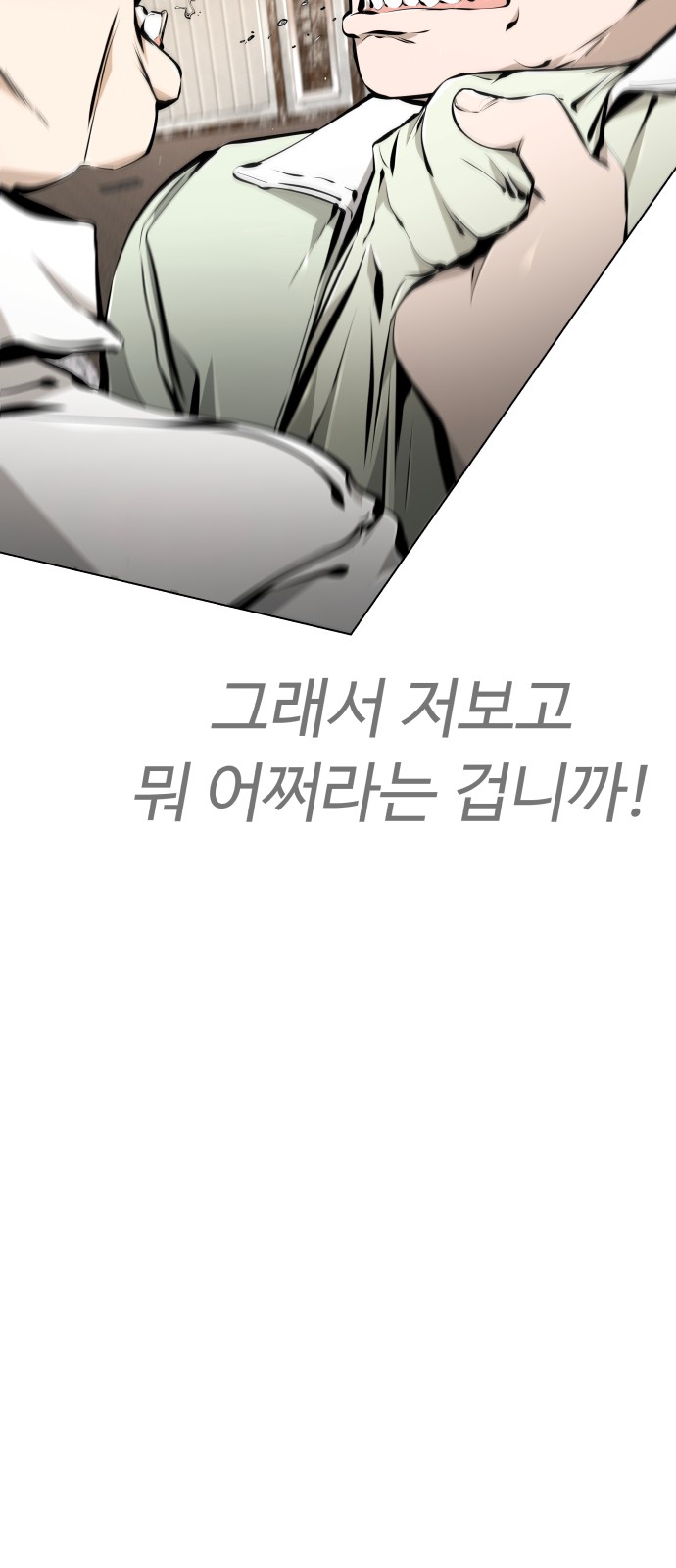 113 페이지