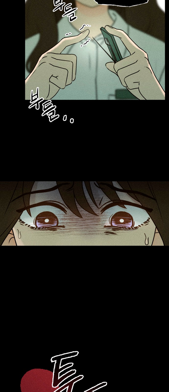 116 페이지