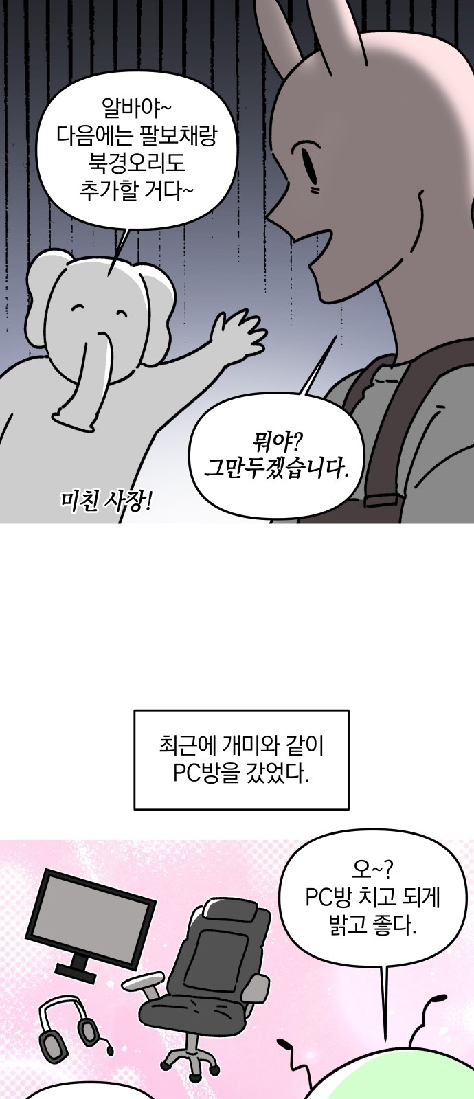11 페이지