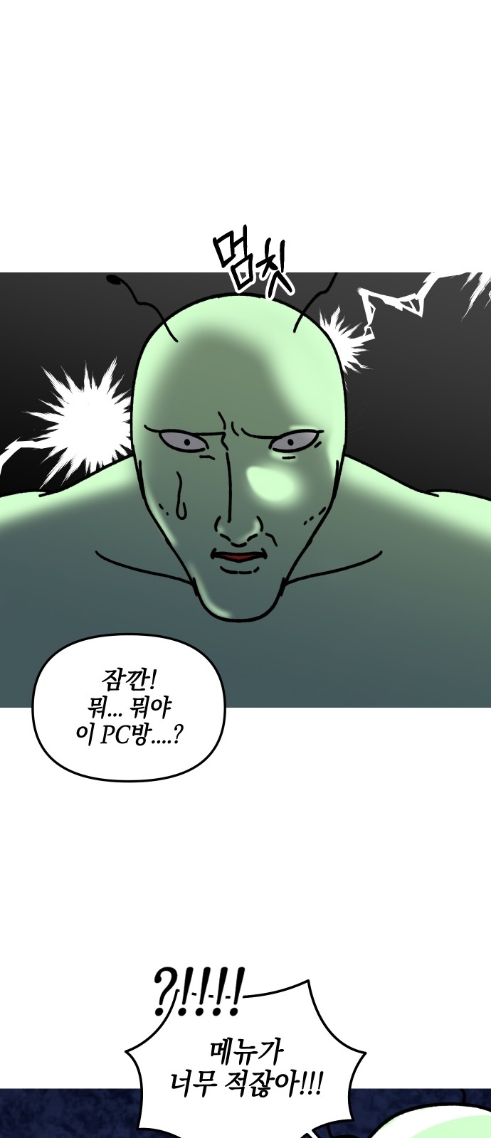 13 페이지
