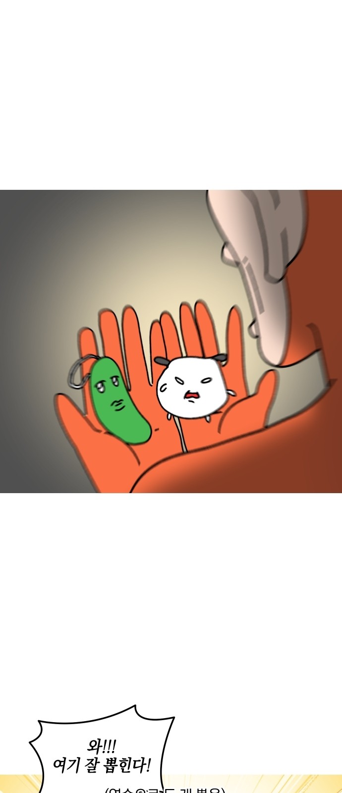 13 페이지