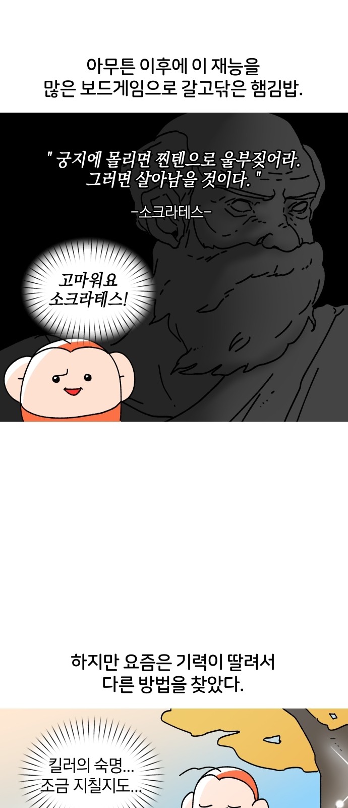 19 페이지