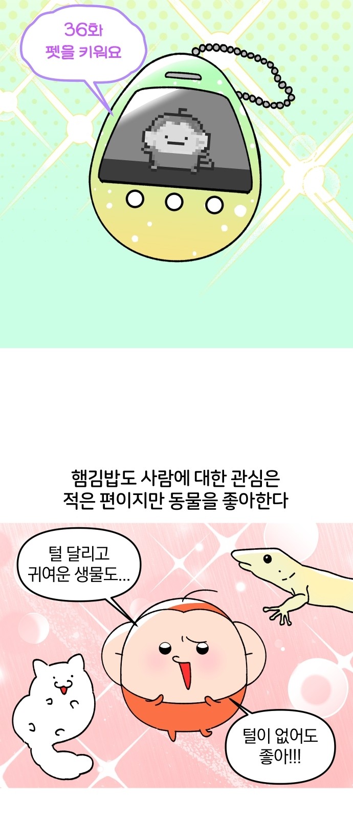 6 페이지