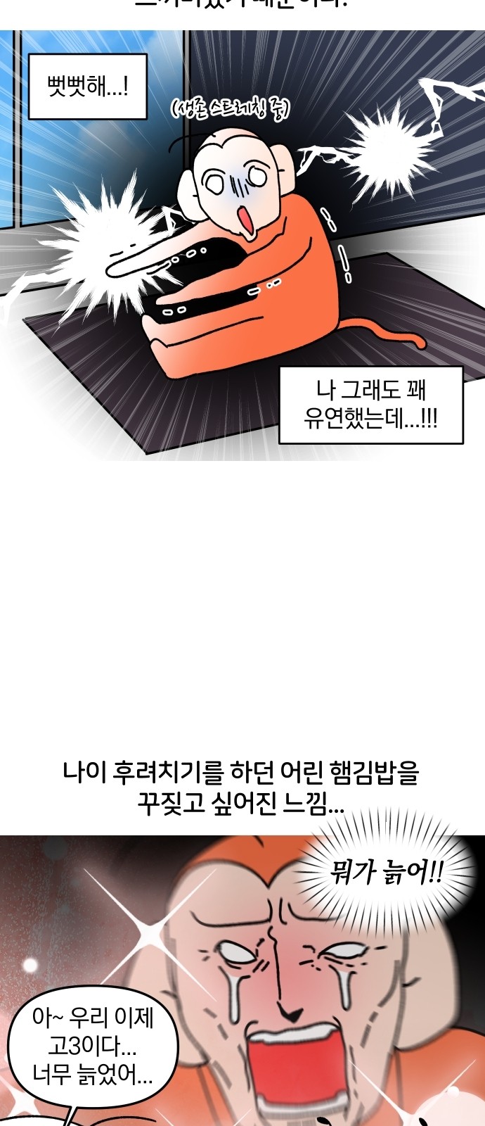 11 페이지