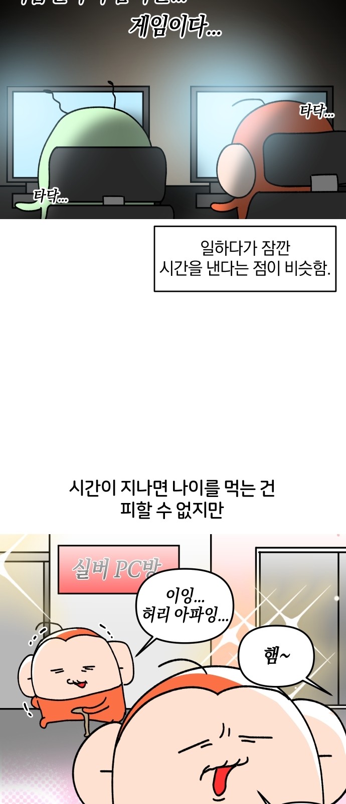 17 페이지
