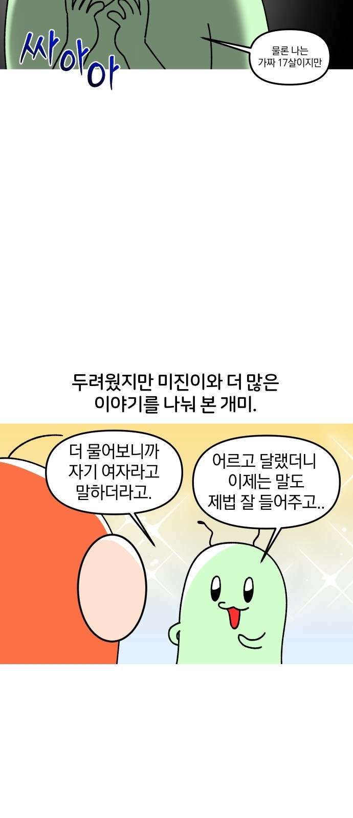 15 페이지