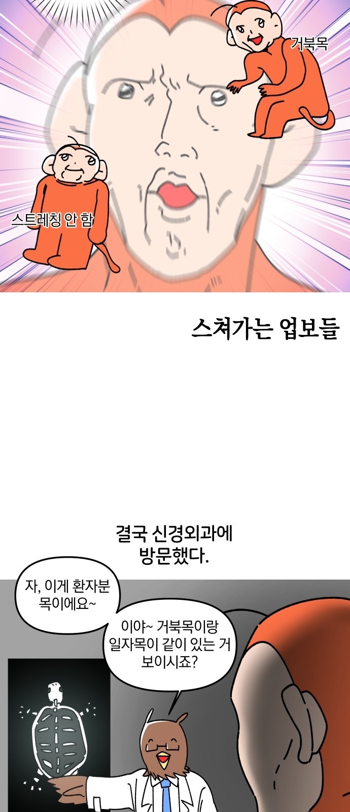 14 페이지