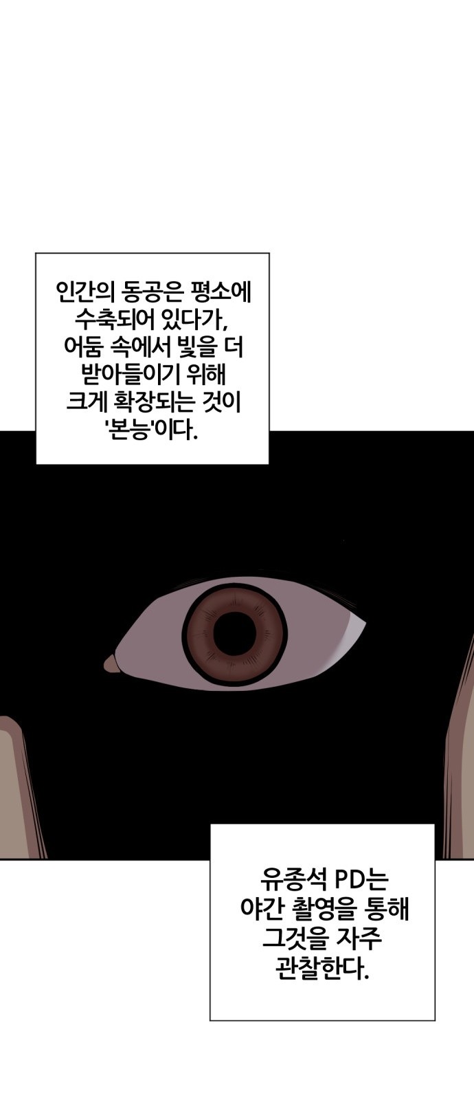 152 페이지