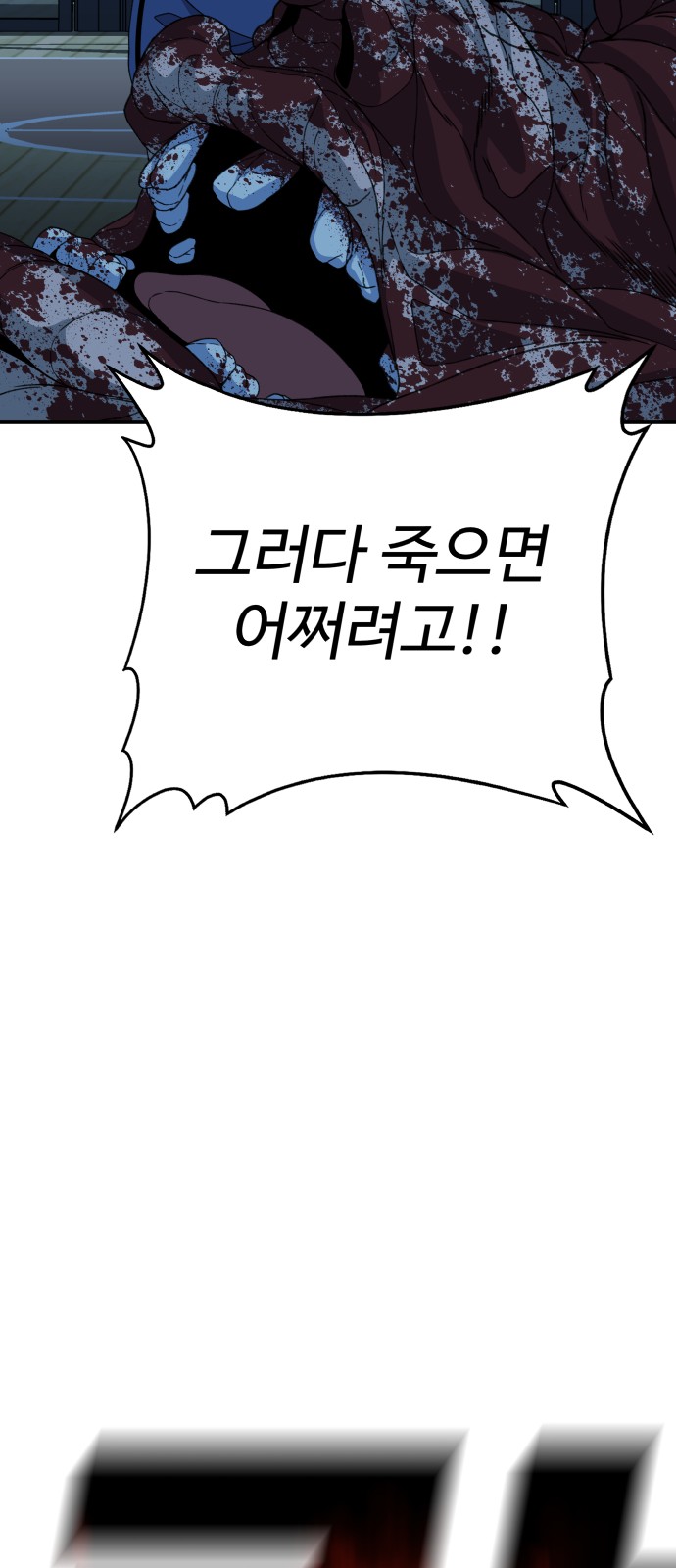 116 페이지